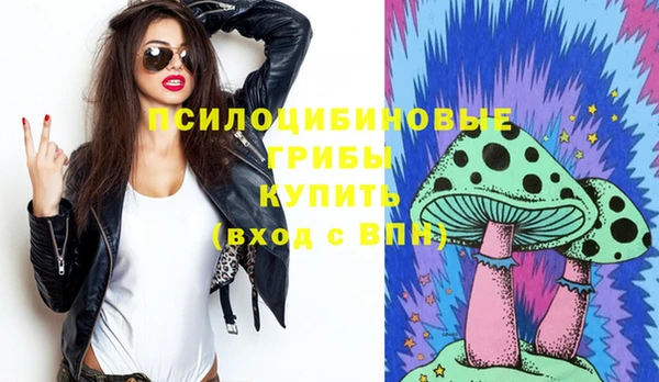 стаф Балахна