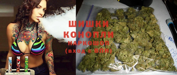 стаф Балахна