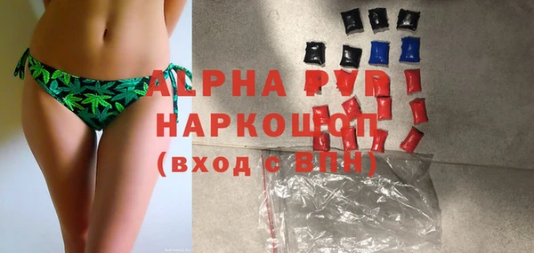 стаф Балахна