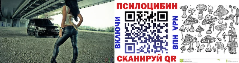 Галлюциногенные грибы мицелий  закладки  Мелеуз 